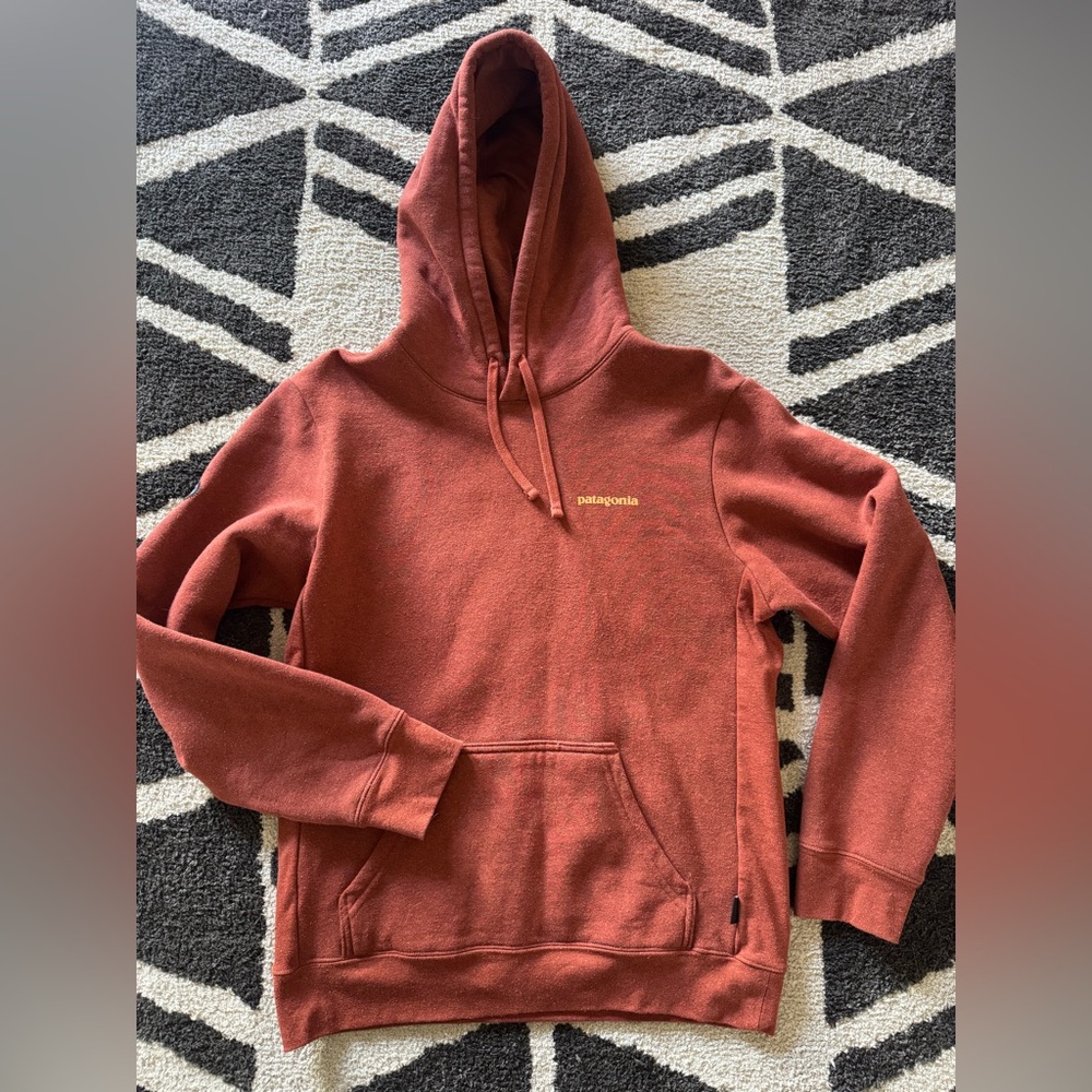 Patagonia Unisex Hoodie